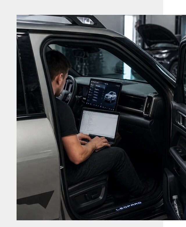 Русификация BYD Leopard 3 в Троицке по цене от 20519 р. | ФастМобиль-Трц